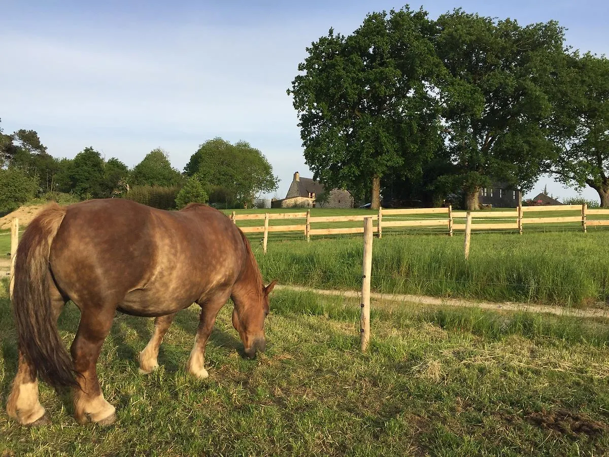 *** Bed & Breakfast Le Clos Du Gusquel Plescop Frankrike